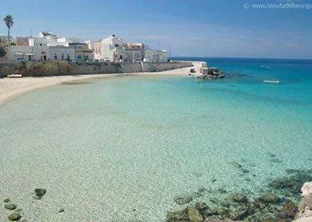 Terrazza Sul Mare, *